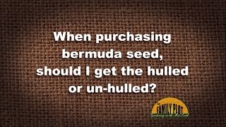 QampA – Should I buy hulled or unhulled Bermuda grass seed [upl. by Ssej]