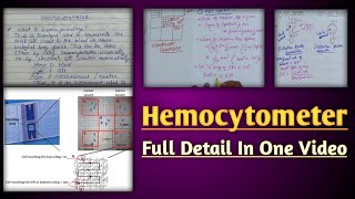 Hemocytometer  hemocytometer rbc count  calculation in neubaur chamber [upl. by Nylirrej692]