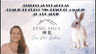 ✨Feng Shui Bazi y Energías marzo mes del Conejo de Fuego [upl. by Helfant]