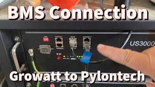 Growatt to Pylontech BMS connection [upl. by Kado956]