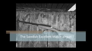 Excellent match airgun [upl. by Zerep]