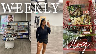 Weekly Vlog Cross border shopping in buffalo trader joes haul learning how to crochet  more [upl. by Percival]