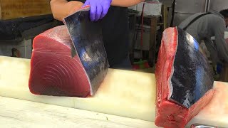 The Most Luxurious Fillet Butchering a 10000 Bluefin Tuna Akami for Sashimi [upl. by Ander]