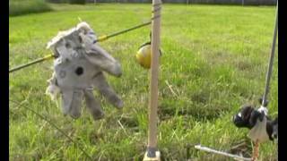 aerial archery  throwing gadget  in flight archery  moving target [upl. by Dnob]