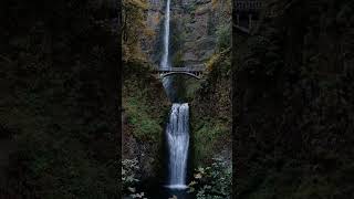 MULTNOMA FALLS OREGON [upl. by Burnard]