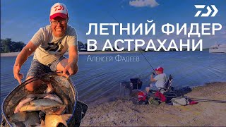 Горячий летний фидер в Астрахани  Алексей Фадеев [upl. by Paten815]