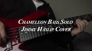 Chameleon Bass Solo Jimmy Haslip Cover [upl. by Aicineohp106]