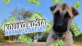 OKOLOKUĆNI POSLOVI 47  KOLIKO NAS MJESEČNO KOŠTA TURSKI KANGAL mnogo brzo raste [upl. by Shantha]