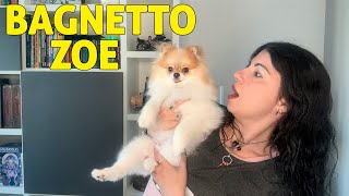 FACCIO il BAGNETTO AL MIO CANE [upl. by Feldstein]