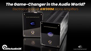 The Game Changer in The Audio World  Electrocompaniet AW300M Mono Amplifiers [upl. by Glennie]