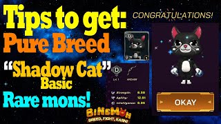 Tips to get Pure Breed BasicShadaw Cat rare mons Binemon [upl. by Quickman497]