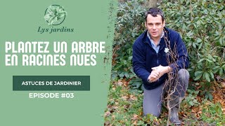 Comment planter un arbre en racines nues [upl. by Stalder]