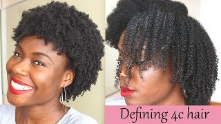 Defined curls on 4c natural hair using the LOC method no gel [upl. by Agna898]