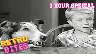 Lassie  1 Hour Special  Full Episodes  Old Cartoons [upl. by Cahilly]