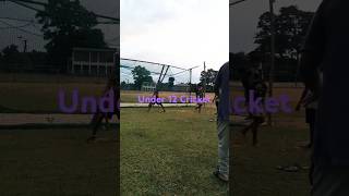 Cricket practice in Gandachara music song [upl. by Otcefrep]