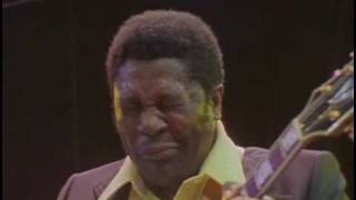 BB King  I Believe To My Soul  Live in Africa 1974 [upl. by Awram]