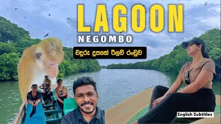 Exploring the Stunning Negombo Lagoon SriLanka  Lagoon Adventures Boat Tours wildlife Scenic View [upl. by Knick]