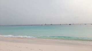 Pebbles Beach Along The Carlisle Bay Area In Barbados🏖🇧🇧 3 [upl. by Sivraj379]