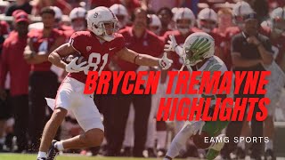 Stanford WR  Brycen Tremaynes Highlight Tape [upl. by Seniag]