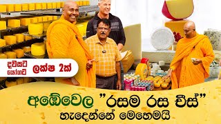 අඹේවෙල රසම රස චීස් හැදෙන්නේ මෙහෙමයි 🧀🧈 Ambewela Farm Dairy Products [upl. by Enaoj]