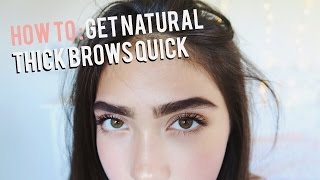 How To Grow Eyebrows FAST Thick amp Natural [upl. by Assilym]