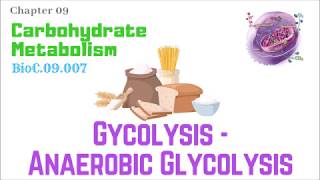 BioC09007Glycolysis 410 – Anaerobic Glycolysis  Dr Prashant Sharma [upl. by Nitsirk]