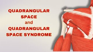 Quadrangular space amp Syndrome Causes Symptoms and Management  Doctor Speaks [upl. by Rafaelof]