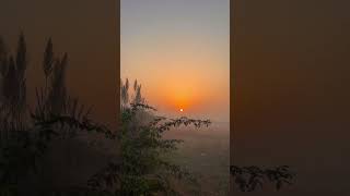 Next sunset music remix neture shorts vidhayak512 [upl. by Ferne]