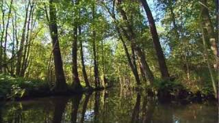 Mit Kanu und Kahn durch den Spreewald [upl. by Elvyn]