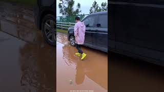 Waterproof Flying Golden Shoes 👟 ll Carriage House wooden artist ll cartoon shortvideo [upl. by Krilov777]