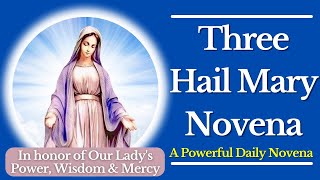 The 3 Hail Mary Novena  A Powerful Daily Novena [upl. by Russ]