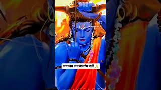 Sanatani Hai Ham Rakhe jigara Mein Dam bolo jaikara Hanuman [upl. by Adiesirb401]