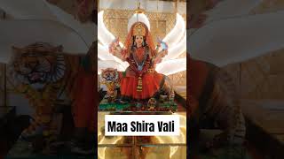 Dk sonkar Maa shera vali short video kashari lal yadav song [upl. by Redle306]