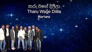 Tharu Wage Dilila Merians Karaoke [upl. by Asselam]