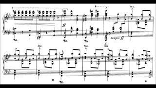 SaintSaëns  Liszt Danse Macabre Op40S555 Cohen [upl. by Aynnat]