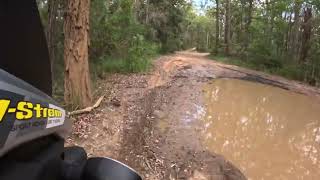 2017 Suzuki V Strom 650 XT offroad test with Michelin Anakee Adventure Tyres Ourimbah State Forest [upl. by Bohaty]