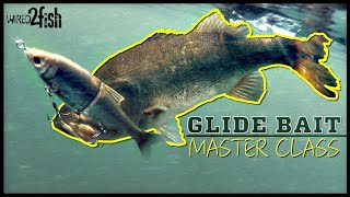 Glide Bait Bass Fishing 🐟  Everything You Need to Know ‼️ [upl. by Chrissy2]