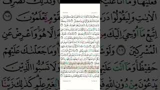 AlQuranulkarim recitation quran surah [upl. by Ylicis]