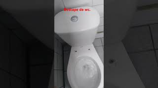 Destape de WC [upl. by Squier]