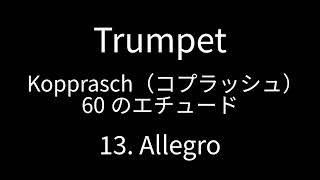 Trumpet Kopprasch 13 [upl. by Ariat]