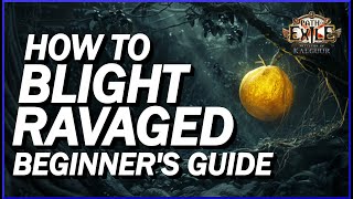 POE 325 Blight Ravaged Guide For Beginners Everything You Need To Complete The Map On Day 1 [upl. by Ilario]