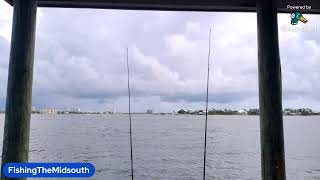 Fishing the Intracoastal Waterway in Florida [upl. by Nora12]