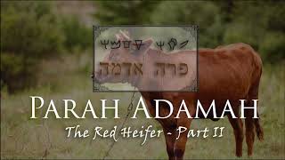 Parah Adamah The Red Heifer  Part II [upl. by Hoem]