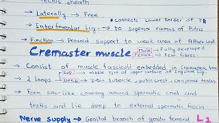 Prehns Test  Testicular Pain  Prehns Sign  OSCE Guide  UKMLA  CPSA  PLAB 2 [upl. by Yasmeen873]