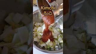 ప్రోబయోటిక్స్ పుష్కలంగా వుండే Kimchi Gut Health Probiotics Recipe digestivesystem [upl. by Aryam359]