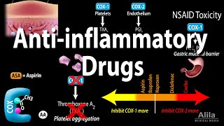 Antiinflammatory NSAIDs Drugs Pharmacology Animation [upl. by Orton]