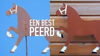 Een best peerd [upl. by Adnovaj]