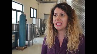 Elena Borra perché la grappa viene tagliatailmangiaweb zona opificio distilleria vieux Moulin [upl. by Pretrice700]