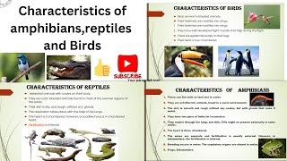 Characteristics of Amphibians Reptiles And Birds [upl. by Shannen192]