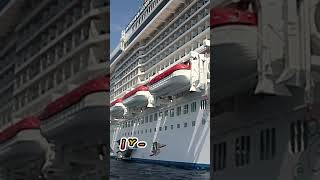 Short Cruceros Viajes Europa Turismo [upl. by Ellenrad380]